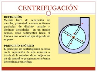 CENTRIFUGACIÓN
DEFINICIÓN
Método físico de separación de
mezclas, presentado cuando se tienen
partículas de distinto tamaño y
distintas densidades en un medio
acuoso, éstas sedimentan hacia el
fondo a una velocidad que depende de
su peso.
PRINCIPIO TEÓRICO
El principio de centrifugación se basa
en la separación de una muestra a
través de la rotación de un objeto en
un eje central lo que genera una fuerza
denominada centrífuga.
 