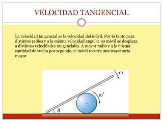 VELOCIDAD TANGENCIAL
La velocidad tangencial es la velocidad del móvil. Por lo tanto para
distintos radios y a la misma velocidad angular es móvil se desplaza
a distintos velocidades tangenciales. A mayor radio y a la misma
cantidad de vuelta por segundo, el móvil recorre una trayectoria
mayor
 