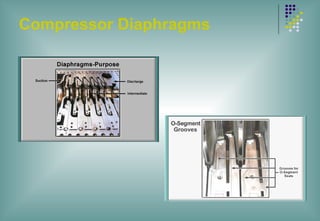 Compressor Diaphragms
 