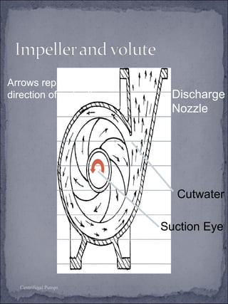 Arrows represent the 
direction of water flow Discharge 
Centrifugal Pumps 
Nozzle 
Cutwater 
Suction Eye 
 