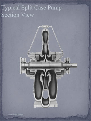 Typical Split Case Pump- 
Section View 
Centrifugal Pumps 
 
