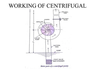 WORKING OF CENTRIFUGAL
PUMP
 