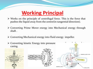 Centrifugal pump working deals