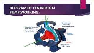 DIAGRAM OF CENTRIFUGAL
PUMP(WORKING)