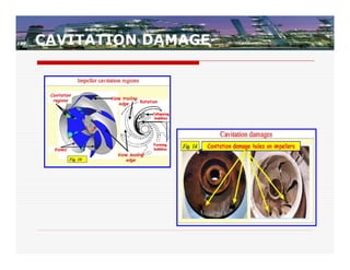 CAVITATION DAMAGE
 