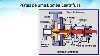 Partes de uma Bomba Centrífuga
 