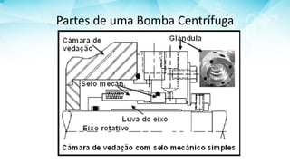 Partes de uma Bomba Centrífuga
 