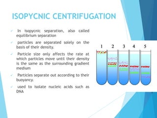 ISOPYCNIC CENTRIFUGATION
 In isopycnic separation, also called
equilibrium separation
 particles are separated solely on the
basis of their density.
 Particle size only affects the rate at
which particles move until their density
is the same as the surrounding gradient
medium
 Particles separate out according to their
buoyancy.
 used to isolate nucleic acids such as
DNA
 
