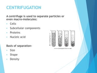 CENTRIFUGATION
A centrifuge is used to separate particles or
even macro-molecules:
 Cells
 Subcellular components
 Proteins
 Nucleic acid
Basis of separation-
 Size
 Shape
 Density
 