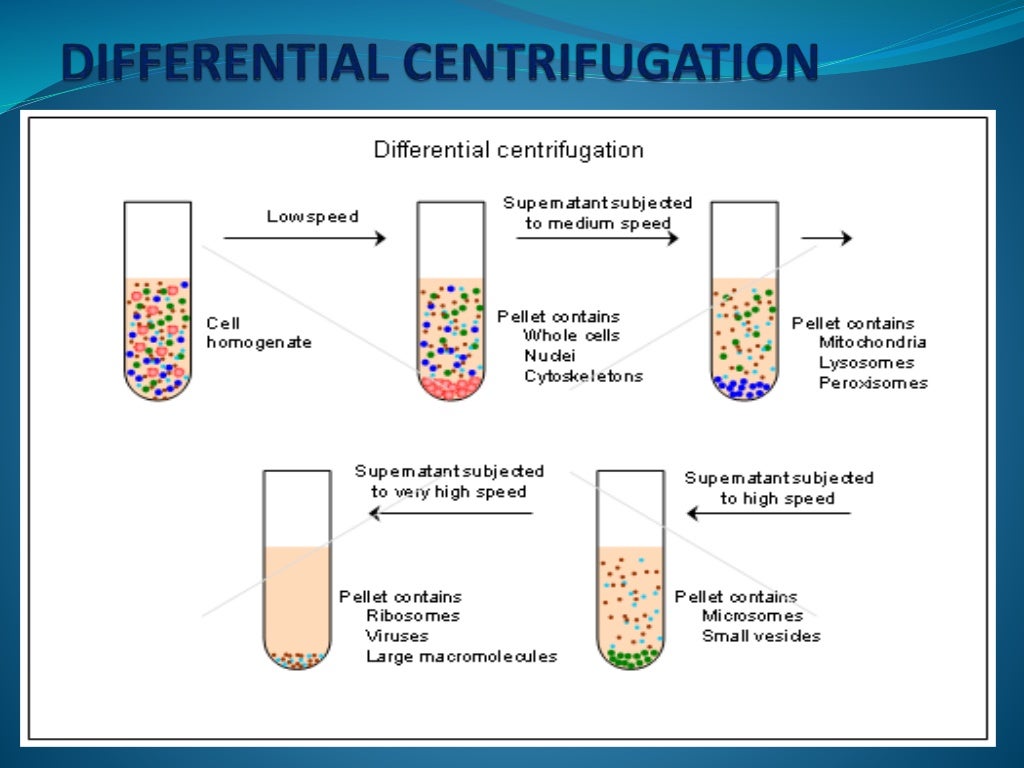 Centrifugation