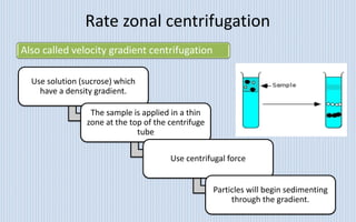 Centrifugation | PPT