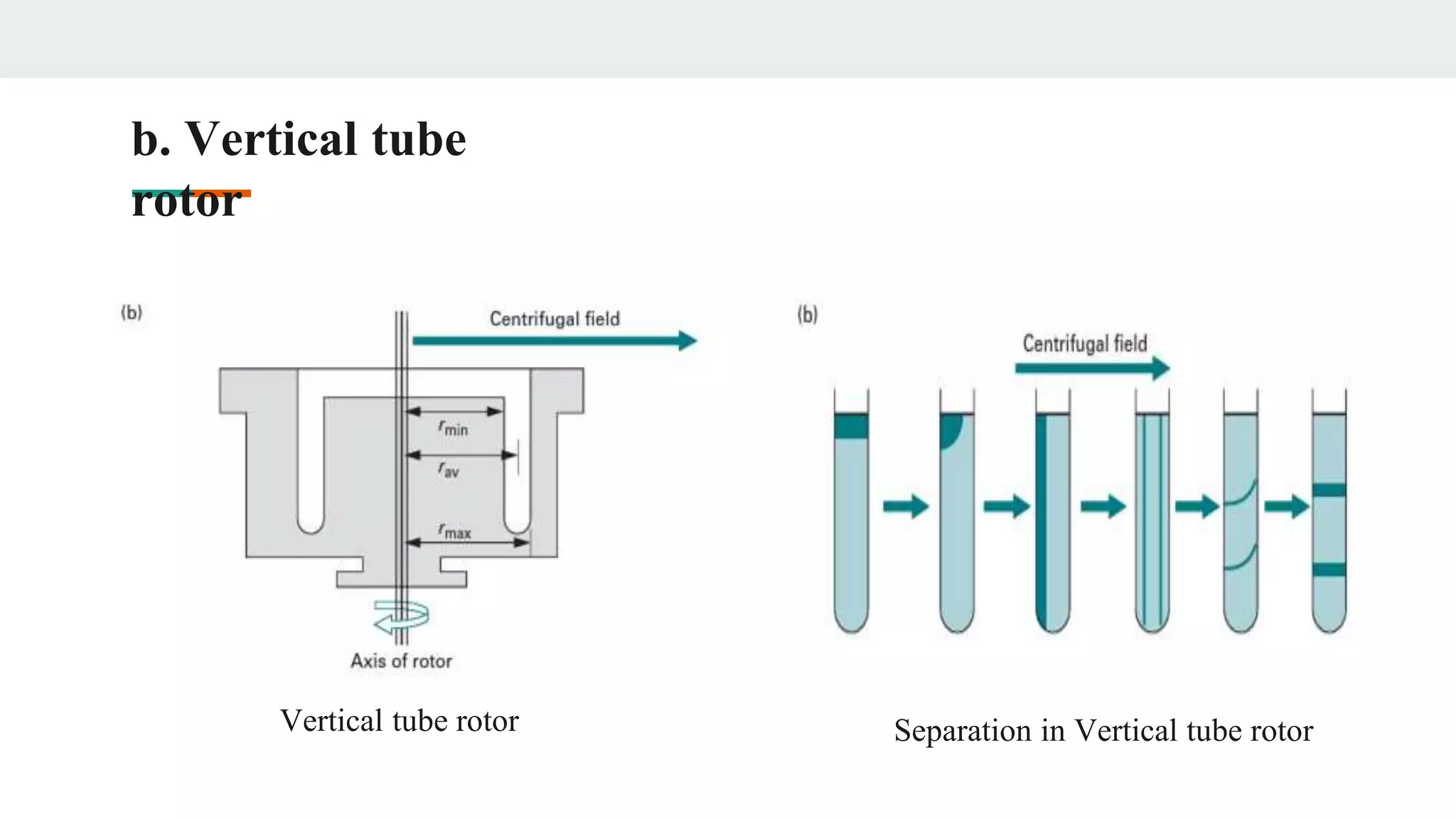 b. Vertical tube
rotor
Vertical tube rotor Separation in Vertical tube rotor
 