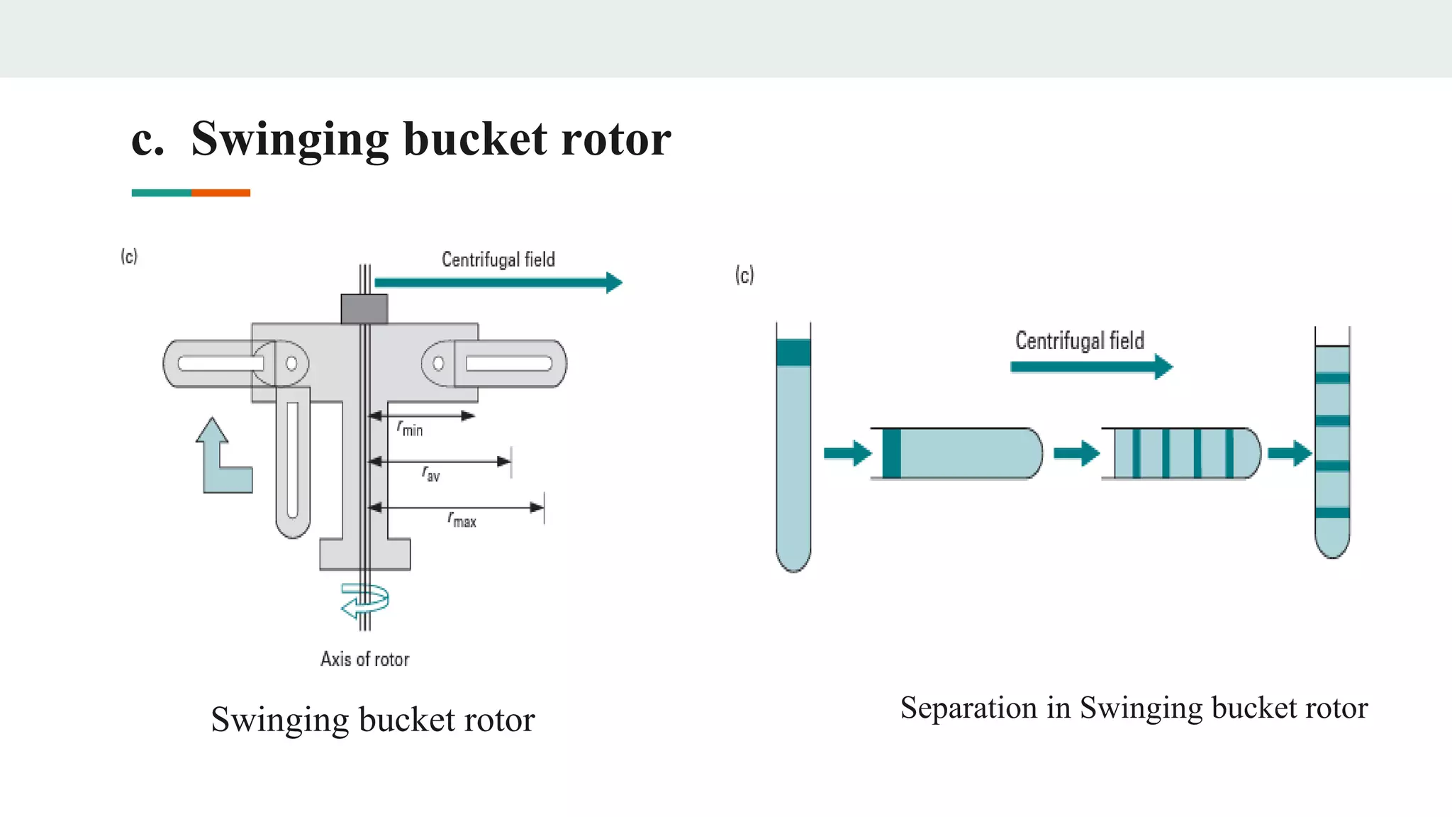 c. Swinging bucket rotor
Swinging bucket rotor Separation in Swinging bucket rotor
 