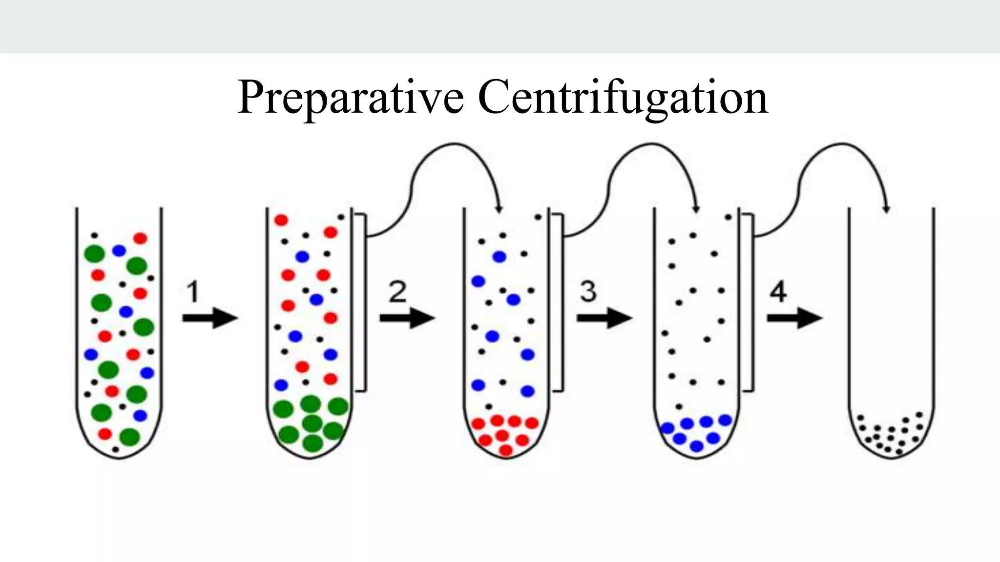 Preparative Centrifugation
 