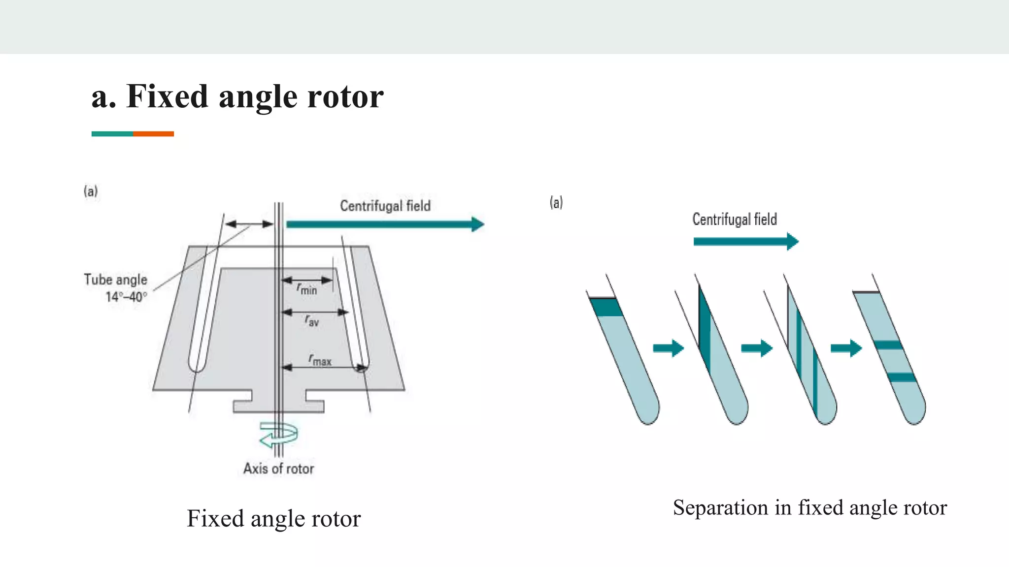 a. Fixed angle rotor
Fixed angle rotor Separation in fixed angle rotor
 