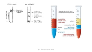 Ms. Ankita Avinash More
 