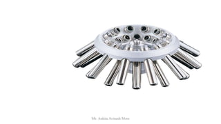 Ms. Ankita Avinash More
 