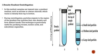 Preparative Rotor centrifugation principle of centrifugation, Preparative and analytical ...