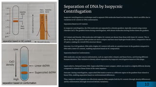 preencoded.png
Separation of DNA by Isopycnic
Centrifugation
Isopycnic centrifugation is a technique used to separate DNA molecules based on their density, which can differ due to
variations in GC content or DNA conformation.
Separation Based on GC Content:
In isopycnic centrifugation, the DNA molecules are separated in a density gradient, typically created using cesium
chloride (CsCl). The gradient forms during centrifugation, with denser molecules moving further down the gradient.
GC Content and Density: DNA molecules with higher GC content are denser than those with lower GC content. This is
due to the fact that guanine and cytosine are more compact and have more hydrogen bonds (three, compared to two in
AT pairs), making the overall DNA structure denser.
Outcome: In a CsCl gradient, DNA with a higher GC content will settle at a position lower in the gradient compared to
DNA with a lower GC content, enabling separation based on GC composition.
Separation Based on Conformation:
DNA molecules can also vary in conformation, such as supercoiled, relaxed, and linear forms, each having different
buoyant densities. This variation in density allows separation by isopycnic centrifugation based on DNA shape.
Supercoiled vs. Relaxed/Linear DNA: Supercoiled DNA is more compact, which can result in a slightly different density
compared to relaxed or linear forms of the same sequence.
Outcome: During centrifugation, supercoiled DNA tends to move to a different region in the gradient than relaxed or
linear DNA, enabling separation based on conformational differences.
Thus, isopycnic centrifugation can effectively separate DNA samples both by GC content (through density differences)
and by conformation (through structural density variations).
10
 
