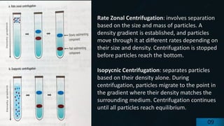 preencoded.png
Rate Zonal Centrifugation: involves separation
based on the size and mass of particles. A
density gradient is established, and particles
move through it at different rates depending on
their size and density. Centrifugation is stopped
before particles reach the bottom.
Isopycnic Centrifugation: separates particles
based on their density alone. During
centrifugation, particles migrate to the point in
the gradient where their density matches the
surrounding medium. Centrifugation continues
until all particles reach equilibrium.
09
 