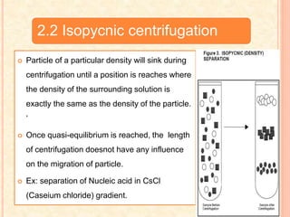 2.2 Isopycnic centrifugation
 Particle of a particular density will sink during
centrifugation until a position is reaches where
the density of the surrounding solution is
exactly the same as the density of the particle.
‘
 Once quasi-equilibrium is reached, the length
of centrifugation doesnot have any influence
on the migration of particle.
 Ex: separation of Nucleic acid in CsCl
(Caseium chloride) gradient.
 