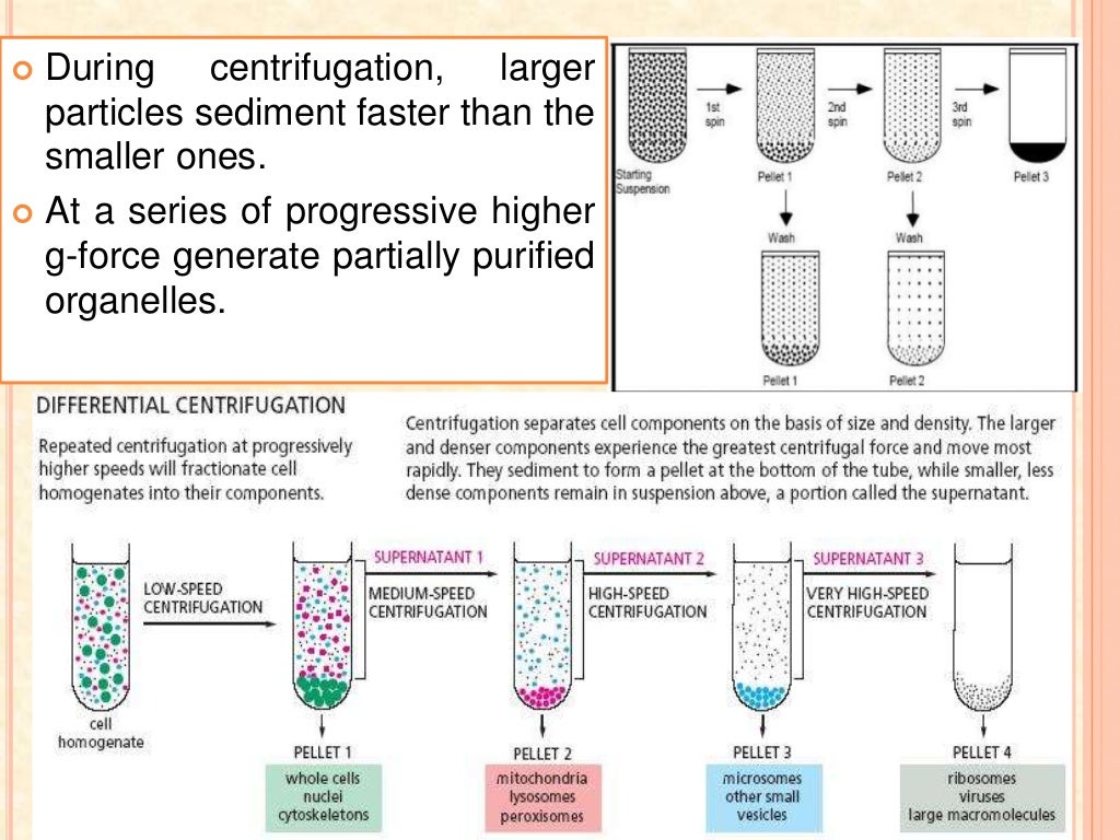 Centrifugation principle and types by Dr. Anurag Yadav