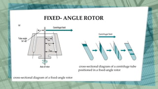 FIXED- ANGLE ROTOR
cross-sectional diagram of a ﬁxed-angle rotor
cross-sectional diagram of a centrifuge tube
positioned in a ﬁxed-angle rotor
 