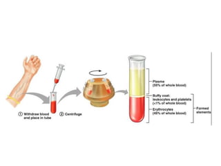 Comprehensive Overview of Centrifugation Principles and Applications in ...
