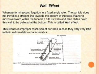 Wall Effect
When performing centrifugation in a fixed angle rotor. The particle does
not travel in a straight line towards the bottom of the tube. Rather it
moves outward within the tube till it hits its walls and then slides down
this wall to be pelleted at the bottom. This is called Wall effect.
This results in improper resolution of particles in case they vary very little
in their sedimentation characteristics.
 