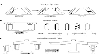 Comprehensive Overview of Centrifugation Techniques and Applications in ...