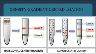 Comprehensive Overview of Centrifugation Techniques and Applications in ...