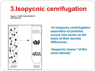 3.Isopycnic cenrifugation
•In isopycnic centrifugation
separation of particles
occurs into zones on the
basis of their density
differences.
•Isopycnic means “of the
same density”
 
