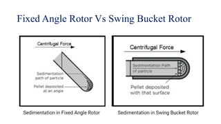 centrifuge-: principles, types, parts, application and laboratory uses ...