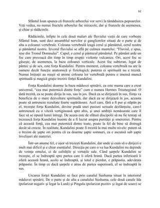 62
Sfântul Ioan spunea că frunzele arborelui vor servi la tămăduirea popoarelor.
Veţi vedea, nu numai fructele arborelui fac miracole, dar şi frunzele de asemenea,
şi chiar şi rădăcinile.
Rădăcinile, înfipte în cele două maluri ale fluviului vieţii de care vorbeşte
Sfântul Ioan, sunt deci ansamblul nervilor şi ganglionilor situaţi de o parte şi de
alta a coloanei vertebrale. Coloana vertebrală leagă cerul şi pământul, cerul nostru
şi pământul nostru. Izvorul fluviului se află pe culmea muntelui: “Fluviul, e spus,
iese din Tronul Domnului”. Capul, e cerul şi pântecul pământul. Pe pământ arde un
foc care provoacă din timp în timp erupţii violente vulcanice. Ori, acest foc se
găseşte, de asemenea, la baza coloanei verticale. Acest foc subteran, legat de
pântec şi de sex, este forţa Kundalini. Pentru moment, coloana vertebrală nu are la
oameni decât funcţie anatomică şi fiziologică; puterea ei spirituală nu e trezită.
Numai Iniţiaţii au reuşit să anime coloana lor vertebrală pentru o imensă muncă
spirituală şi magică graţie trezirii forţei Kundalini.
Forţa Kundalini doarme la baza măduvei spinării, ea este mama care a creat
universul, “cea mai puternică dintre forţe” cum o numea Hermes Trismegistul. O
dată trezită, ea se poate dirija în sus, sau în jos. Dacă ea se dirijează în sus, fiinţa va
beneficia de o mare dezvoltare spirituală, dar dacă ea se dirijează în jos, aceasta
poate să antreneze rezultate foarte supărătoare. Acel care, fără a fi pur şi stăpân pe
el, trezeşte forţa Kundalini, devine pradă unei pasiuni sexuale dezlănţuite, care-l
antrenează cu o viteză vertiginoasă spre abis, şi unei ambiţii nemăsurate care îl
face să se opună lumii întregi. De aceea este de sfătuit discipolii să nu fie tentaţi să
trezească forţa Kundalini înainte de a fi lucrat asupra purităţii şi smereniei. Pentru
că această forţă, cea mai puternică dintre toate, poate la fel de bine să distrugă
decât să creeze. În realitate, Kundalini poate fi trezită la mai multe nivele: putem să
o trezim de şapte ori pentru că ea doarme şapte somnuri, ea e ascunsă sub şapte
învelişuri ale materiei.
Într-un anume fel, e uşor să trezeşti Kundalini, dar unde şi cum să o dirijezi e
mult mai dificil şi e chiar esenţialul. Direcţia pe care o va lua Kundalini nu depinde
de voinţa omului, ci de calităţile şi virtuţile sale. Când şarpele Kundalini se
trezeşte, el se îndreaptă spre partea care îi oferă hrană. Dacă partea inferioară îi
oferă această hrană, acolo se îndreaptă, şi totul e pierdut, e prăpastia, adevărata
prăpastie. În timp ce dacă şarpele e atras de partea superioară, el se îndreaptă în
sus.
Urcarea forţei Kundalini se face prin canalul Sushuma situat în interiorul
măduvei spinării. De o parte şi de alta a canalului Sushuma, cele două canale Ida
(polarizat negativ şi legat la Lună) şi Pingala (polarizat pozitiv şi legat de soare) se
 