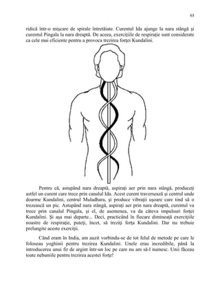 63
ridică într-o mişcare de spirale întretăiate. Curentul Ida ajunge la nara stângă şi
curentul Pingala la nara dreaptă. De aceea, exerciţiile de respiraţie sunt considerate
ca cele mai eficiente pentru a provoca trezirea forţei Kundalini.
Pentru că, astupând nara dreaptă, aspiraţi aer prin nara stângă, produceţi
astfel un curent care trece prin canalul Ida. Acest curent traversează şi centrul unde
doarme Kundalini, centrul Muladhara, şi produce vibraţii uşoare care tind să o
trezească un pic. Astupând nara stângă, aspiraţi aer prin nara dreaptă, curentul va
trece prin canalul Pingala, şi el, de asemenea, va da câteva impulsuri forţei
Kundalini. Şi aşa mai departe... Deci, practicând în fiecare dimineaţă exerciţiile
noastre de respiraţie, puteţi, încet, să treziţi forţa Kundalini. Dar nu trebuie
prelungite aceste exerciţii.
Când eram în India, am auzit vorbindu-se de tot felul de metode pe care le
foloseau yoghinii pentru trezirea Kundalini. Unele erau incredibile, până la
introducerea unui fir de argint într-un loc pe care nu am să-l numesc. Unii făceau
toate nebuniile pentru trezirea acestei forţe!
 