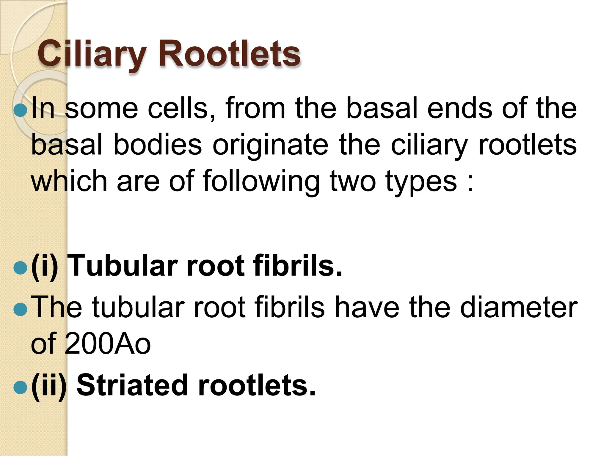 Centriole and basal body 123456789 .pptx