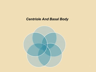 Centriole And Basal Body
 