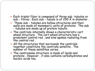  Each triplet fiber is composed of three sub -tubules or
sub - fibres . Each sub - tubule is of 250 Ã in diameter .
 These sub - tubules are hollow structures and their
walls are made of monomeric units of proteins . The sub
- tubules are made up of protein tubulin .
 The centriole internally shows a characteristic cart
wheel structure . The cart wheel structure has a
prominent central rod , and nine spokes radiating from
the central rod .
 All the structures that surrounds the centriole
together constitute the centriole satellite . The
number of these satellites varies .
 The centrosome structure is made of lipids and
proteins . However , it also contains carbohydrates and
nucleic acids too.
 