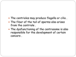  The centrioles may produce flagella or cilia .
 The fiber of the tail of sperms also arises
from the centriole .
 The dysfunctioning of the centrosome is also
responsible for the development of certain
cancers .
 