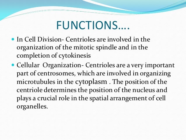 Give main function of centriole - Biology - Cell The Unit ...