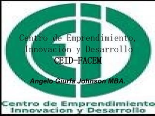 Centro de Emprendimiento, Innovación y Desarrollo CEID-FACEM Angelo Giurfa Johnson MBA. 