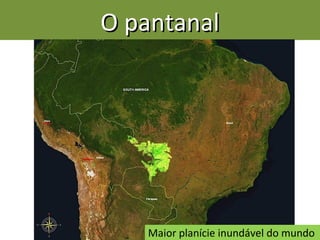 O pantanalO pantanal
Maior planície inundável do mundo
 