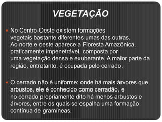 VEGETAÇÃO
 No Centro-Oeste existem formações
vegetais bastante diferentes umas das outras.
Ao norte e oeste aparece a Floresta Amazônica,
praticamente impenetrável, composta por
uma vegetação densa e exuberante. A maior parte da
região, entretanto, é ocupada pelo cerrado.
 O cerrado não é uniforme: onde há mais árvores que
arbustos, ele é conhecido como cerradão, e
no cerrado propriamente dito há menos arbustos e
árvores, entre os quais se espalha uma formação
contínua de gramíneas.
 