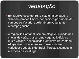 VEGETAÇÃO
 Em Mato Grosso do Sul, existe uma verdadeira
"ilha" de campos limpos, conhecidos pelo nome de
campos de Vacaria, que lembram vagamente
o pampa gaúcho.
 A região do Pantanal, sempre alagável quando nas
cheias de verão, possui uma vegetação típica e
muito variada, denominada Complexo do Pantanal.
Aí aparecem concentradas quase todas as
variedades vegetais do Brasil: florestas, campos e
até mesmo a caatinga.
 