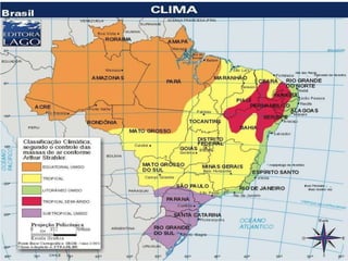 CLIMA
 