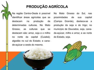 PRODUÇÃO AGRÍCOLA
Na região Centro-Oeste é possível
identificar áreas agrícolas que se
destacam na produção de
determinadas culturas. No Mato
Grosso, as culturas que se
destacam são: arroz, soja e o milho
no norte da capital (Cuiabá);
algodão no sul do Estado; e cana-
de-açúcar a oeste do mesmo.
No Mato Grosso do Sul, nas
proximidades de sua capital
(Campo Grande), destaca-se a
produção da soja e do trigo; no
município de Dourados, soja, cana-
de-açúcar, milho e arroz; e ao norte
do Estado, soja.
 