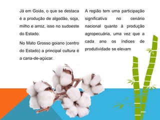 Já em Goiás, o que se destaca
é a produção de algodão, soja,
milho e arroz, isso no sudoeste
do Estado.
No Mato Grosso goiano (centro
do Estado) a principal cultura é
a cana-de-açúcar.
A região tem uma participação
significativa no cenário
nacional quanto à produção
agropecuária, uma vez que a
cada ano os índices de
produtividade se elevam
 