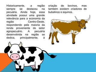 Historicamente, a região
sempre se destacou na
pecuária. Ainda hoje, essa
atividade possui uma grande
relevância para a economia da
região Centro-Oeste,
respondendo pela maioria da
renda proveniente do setor
agropecuário. A pecuária
desenvolvida na região se
dedica, principalmente, à
criação de bovinos, mas
também existem criadores de
bubalinos e equinos.
 