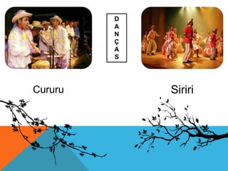 D
A
N
Ç
A
S
Cururu Siriri
 