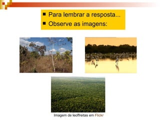 Para lembrar a resposta... Observe as imagens: Imagem de leoffreitas em  Flickr 